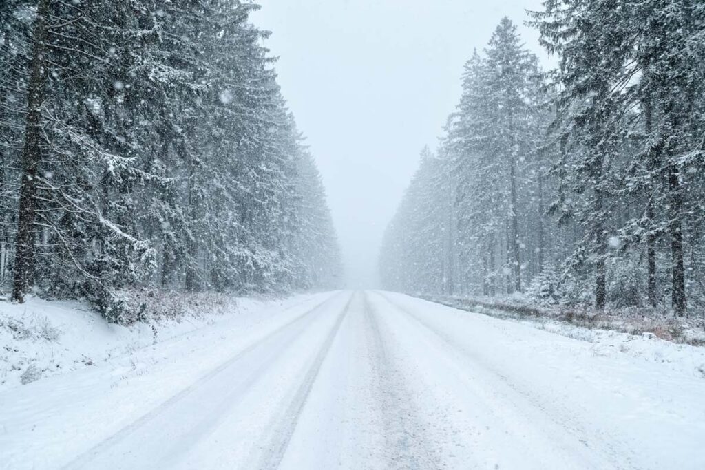 snow on road with trees on either side